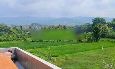 For Sale 3 Br Newbrand Villa Near Lovina View To The Ricefild