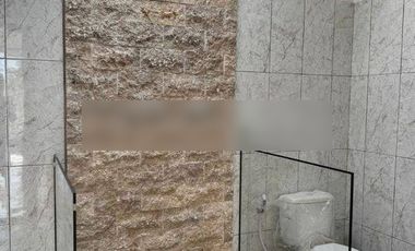 For Sale 3 Br Newbrand Villa Near Lovina View To The Ricefild