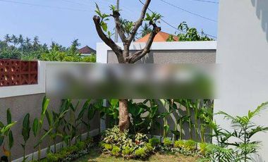 For Sale 3 Br Newbrand Villa Near Lovina View To The Ricefild