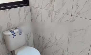 For Sale 3 Br Newbrand Villa Near Lovina View To The Ricefild