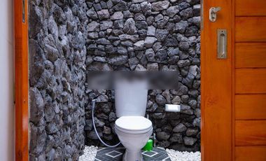 For Sale 2 Bedrom Modern Villa In East Bali With Mountain Villa