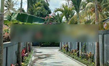 Villa 5 BR Dkt Pusat Lovina Cocok Bisnis & Pribadi