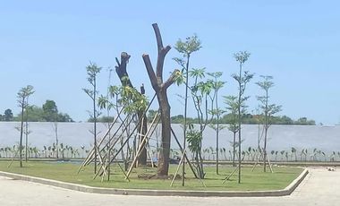 Java Residence Cluster 3 Terungkulon