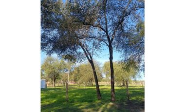 Casita junto al algarrobo! Aires de Colonia!