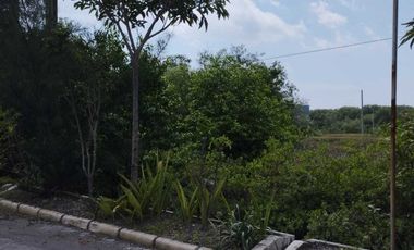 Disewakan Tanah Wisma Tirta Agung Gunung Anyar Surabaya