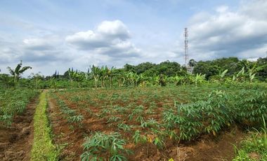 Dijual Lahan luas rancan Maya bogor