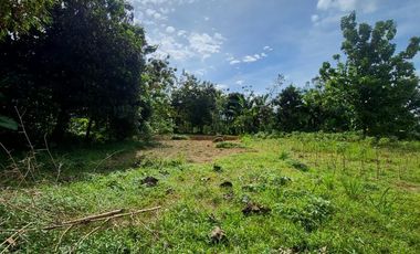 Dijual Lahan luas rancan Maya bogor