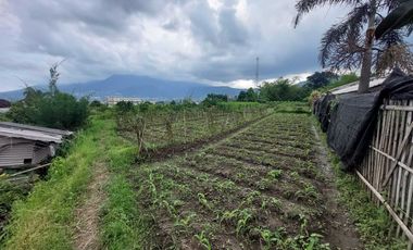 Tanah Dijual Di Bulukerto Batu