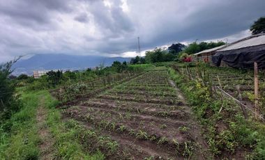 Tanah Dijual Di Bulukerto Batu