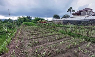 Tanah Dijual Di Bulukerto Batu