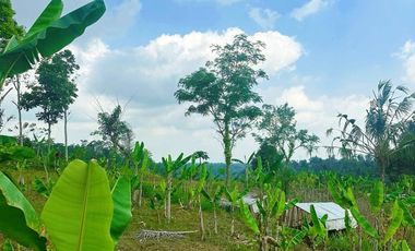 DIJUAL TANAH 33 ARE DI UBUD