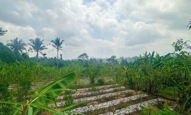 DIJUAL TANAH 33 ARE DI UBUD