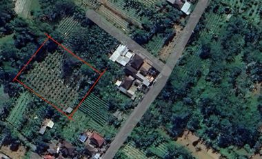 DIJUAL TANAH 33 ARE DI UBUD