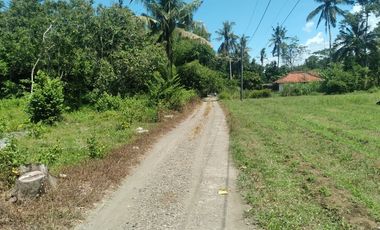 Dijual Tanah 1,1 hektar Sayap Jalan Daendels Ketawang Grabag Purworejo