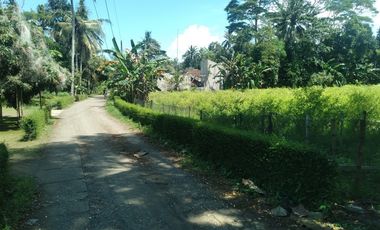 Dijual Tanah 1,1 hektar Sayap Jalan Daendels Ketawang Grabag Purworejo