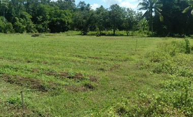 Dijual Tanah 1,7 hektar Sayap Jln Daendels Ketawang Grabag Purworejo