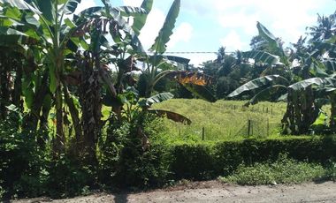 Dijual Tanah 1,7 hektar Sayap Jln Daendels Ketawang Grabag Purworejo