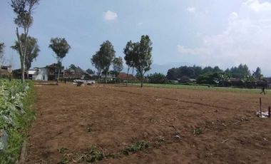 DIJUAL TANAH KAVLING EXCLUSIVE & STRATEGIS DI CIBODAS, LEMBANG, KBB