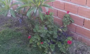 VENTA: CASA INTERNA EN CORONDA - Ref. 995