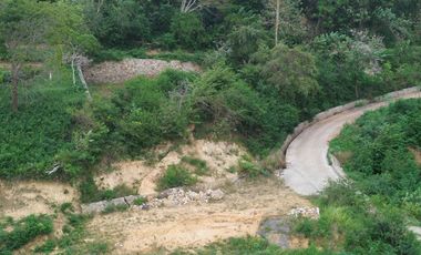 Tanah kavlingan murah di Kuta Mandalika Lombok. Cocok untuk villa