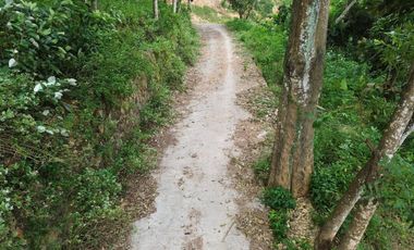 Tanah kavlingan murah di Kuta Mandalika Lombok. Cocok untuk villa