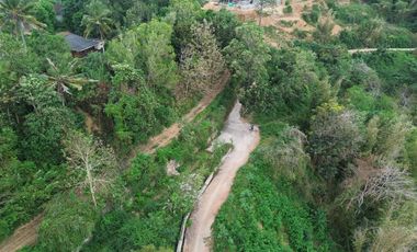 Tanah kavlingan murah di Kuta Mandalika Lombok. Cocok untuk villa