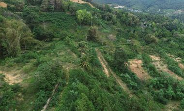Tanah kavlingan murah di Kuta Mandalika Lombok. Cocok untuk villa