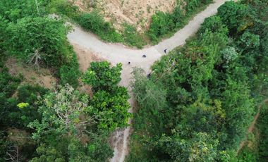 Tanah kavlingan murah di Kuta Mandalika Lombok. Cocok untuk villa
