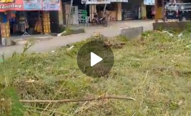 Dijual Tanah Murah Luas Pinggir Jalan Raya dan Pasar di Sukabumi