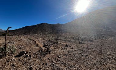 Parcela en venta en VICUÑA