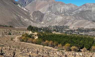 Parcela en venta en VICUÑA