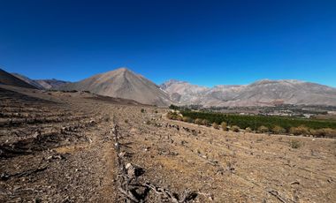 Parcela en venta en VICUÑA