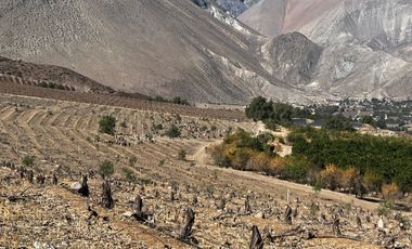 Parcela en venta en VICUÑA