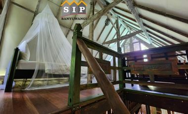 Dijual Homestay Villa beserta isinya kawasan gunung ijen Banyuwangi