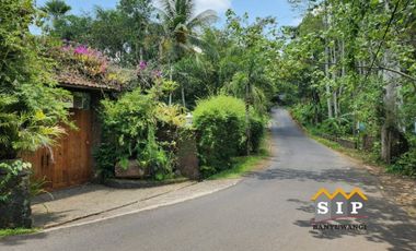 Dijual Homestay Villa beserta isinya kawasan gunung ijen Banyuwangi