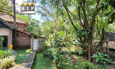 Dijual Homestay Villa beserta isinya kawasan gunung ijen Banyuwangi