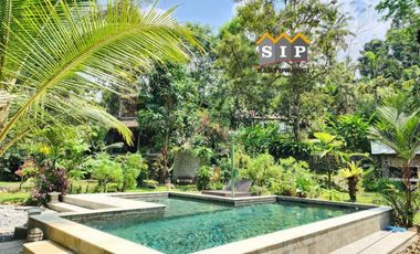 Dijual Homestay Villa beserta isinya kawasan gunung ijen Banyuwangi