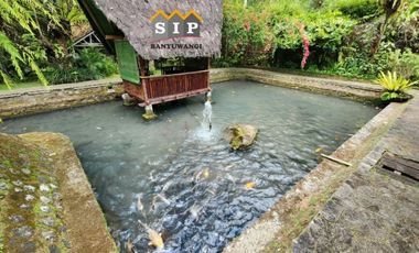 Dijual Homestay Villa beserta isinya kawasan gunung ijen Banyuwangi