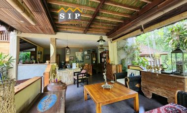 Dijual Homestay Villa beserta isinya kawasan gunung ijen Banyuwangi