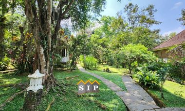 Dijual Homestay Villa beserta isinya kawasan gunung ijen Banyuwangi