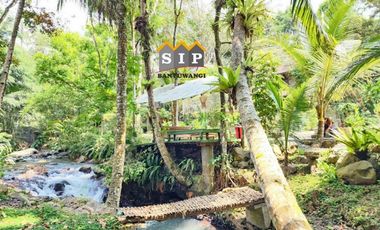 Dijual Homestay Villa beserta isinya kawasan gunung ijen Banyuwangi