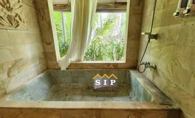 Dijual Homestay Villa beserta isinya kawasan gunung ijen Banyuwangi