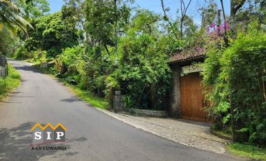 Dijual Homestay Villa beserta isinya kawasan gunung ijen Banyuwangi