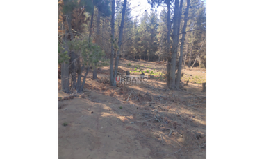 Terreno en excelente ubicación de Los Pinos