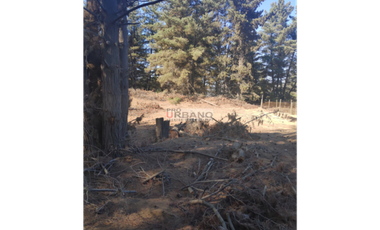 Terreno en excelente ubicación de Los Pinos