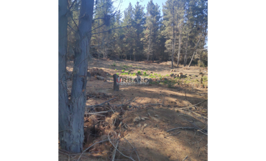 Terreno en excelente ubicación de Los Pinos