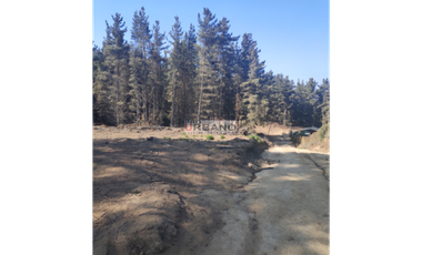 Terreno en excelente ubicación de Los Pinos