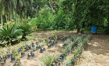 VENTA de LOTES en MELGAR