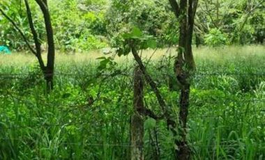 VENTA de LOTES en MELGAR