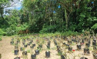 VENTA de LOTES en MELGAR